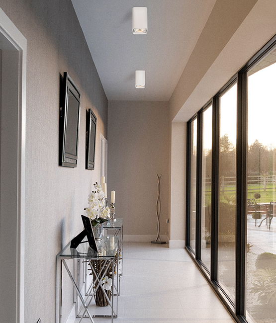 Ceiling shop surface downlight
